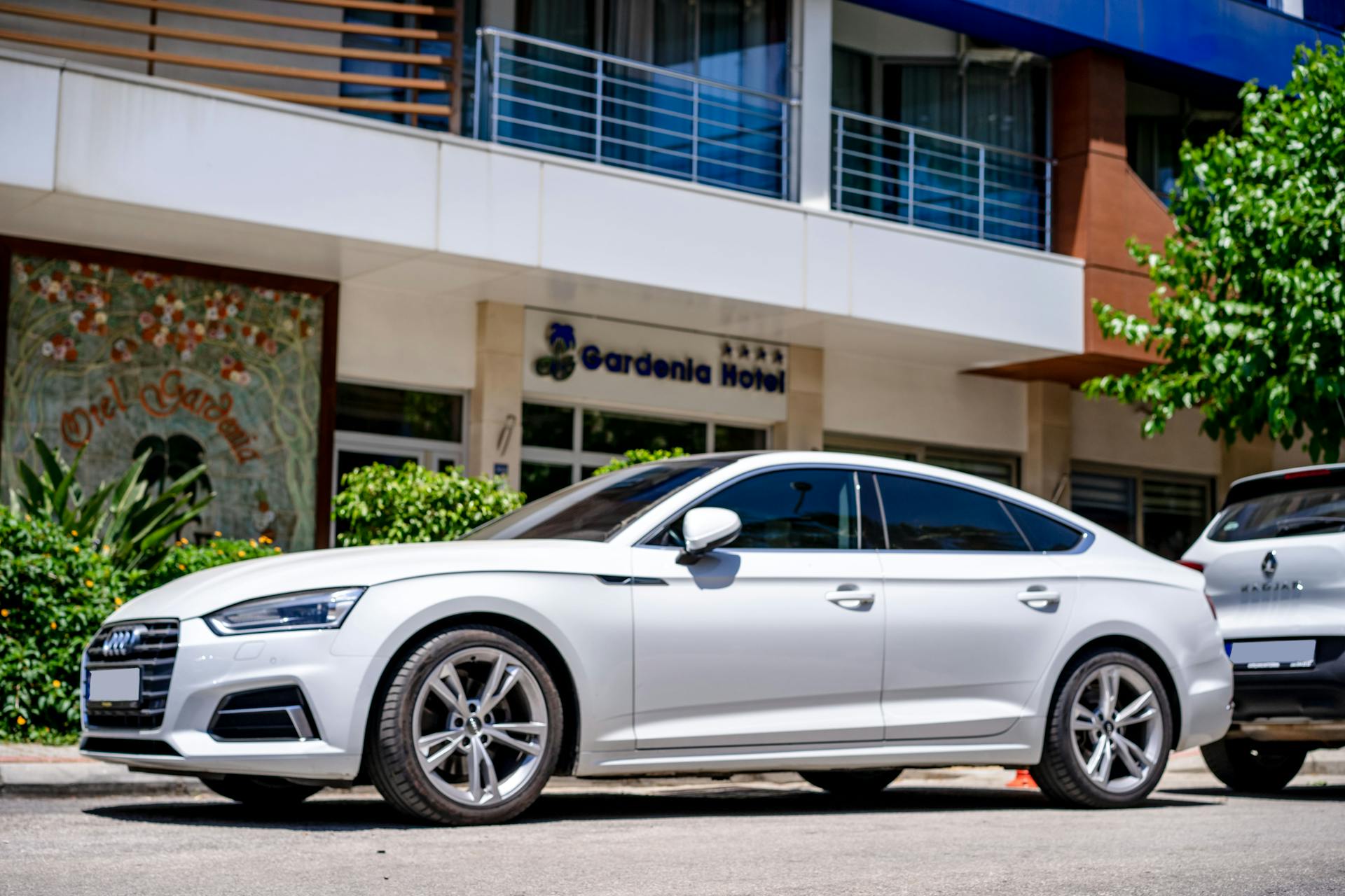 Elite Rent a Car family team in Budva